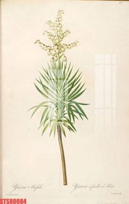 File gốc Tranh sơn dầu phương tây tổng hợp STS80084 (phong cách) châu Âu