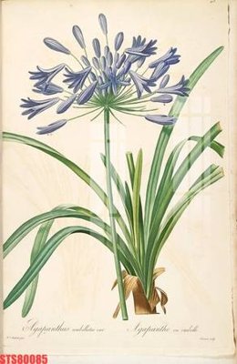 File gốc Tranh sơn dầu phương tây tổng hợp STS80085 (in ấn) màu sắc trung thực