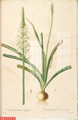 File tranh Tranh sơn dầu phương tây tổng hợp STS80086 (file gốc) chuẩn màu in