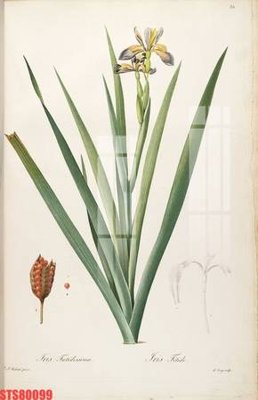 Hình ảnh file gốc Tranh sơn dầu phương tây tổng hợp STS80099 (chất lượng cao)