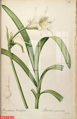 File gốc Tranh sơn dầu phương tây tổng hợp STS80101 (PNG) chất lượng cao