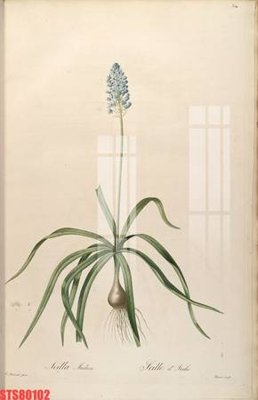 Tải file Tranh sơn dầu phương tây tổng hợp STS80102 (gốc) in ấn chất lượng