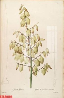 File gốc Tranh sơn dầu phương tây tổng hợp STS80105 (trang trí) phòng làm việc