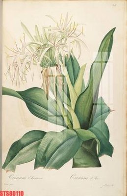 Download file gốc Tranh sơn dầu phương tây tổng hợp STS80110 (dùng cho in ấn)