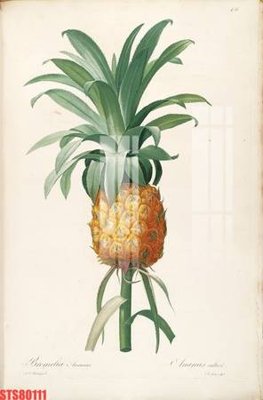 Tải file tranh Tranh sơn dầu phương tây tổng hợp STS80111 (ảnh gốc) ngay