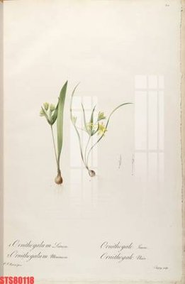 File in mica Tranh sơn dầu phương tây tổng hợp STS80118 (bản gốc) siêu trong