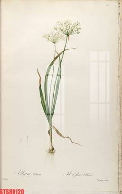 Tải file Tranh sơn dầu phương tây tổng hợp STS80120 (gốc) làm file in ấn