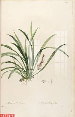 File gốc Tranh sơn dầu phương tây tổng hợp STS80126 (in lụa) trang trí tường