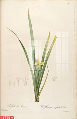 Tệp tin gốc Tranh sơn dầu phương tây tổng hợp STS80127 (chất lượng) Tranh sơn dầu phương tây tổng hợp STS80127