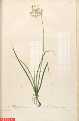 Tải file gốc Tranh sơn dầu phương tây tổng hợp STS80128 (bản PSD) chỉnh sửa được