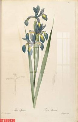 File in trần Tranh sơn dầu phương tây tổng hợp STS80130 (bản gốc) bầu trời