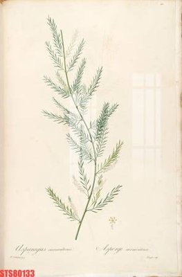 File tranh Tranh sơn dầu phương tây tổng hợp STS80133 (file gốc) chủ đề phong thủy