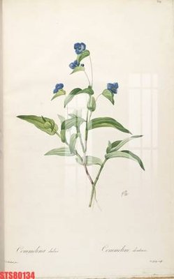 File gốc Tranh sơn dầu phương tây tổng hợp STS80134 (ảnh chi tiết) để in lụa