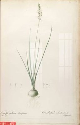 File gốc Tranh sơn dầu phương tây tổng hợp STS80136 (ảnh chi tiết) để in trần