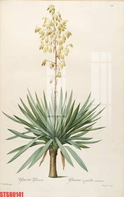 File tranh Tranh sơn dầu phương tây tổng hợp STS80141 (bản gốc) treo tường