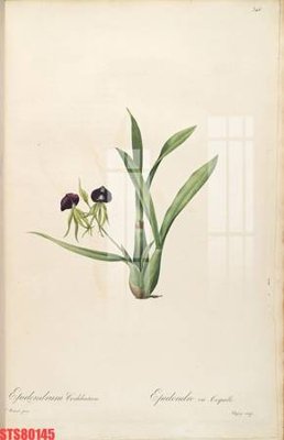 File gốc Tranh sơn dầu phương tây tổng hợp STS80145 (cho in 3D) độc đáo