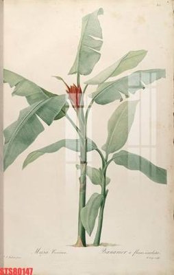 File tranh Tranh sơn dầu phương tây tổng hợp STS80147 (ảnh gốc) cho in ấn kỹ thuật số