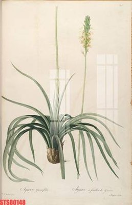 Mua file gốc Tranh sơn dầu phương tây tổng hợp STS80148 (chất lượng) tại Filetranh.com