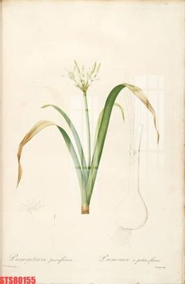 File tranh trang trí Tranh sơn dầu phương tây tổng hợp STS80155 (tải file gốc)