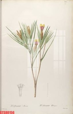 File ảnh Tranh sơn dầu phương tây tổng hợp STS80156 (gốc) trang trí khách sạn