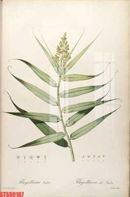 File gốc Tranh sơn dầu phương tây tổng hợp STS80167 (in ấn) màu sắc trung thực