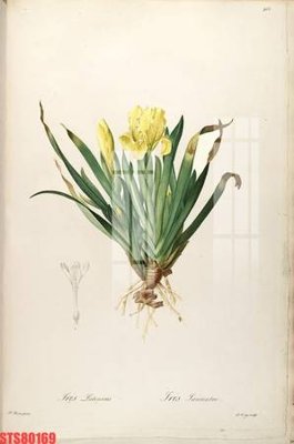 File gốc Tranh sơn dầu phương tây tổng hợp STS80169 (in mica) cắt laser