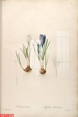 File tranh Tranh sơn dầu phương tây tổng hợp STS80171 (ảnh gốc) in trần 3D