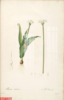 Chi tiết file ảnh Tranh sơn dầu phương tây tổng hợp STS80177 sắc nét