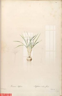 File gốc Tranh sơn dầu phương tây tổng hợp STS80181 (in tráng gương) hiện đại