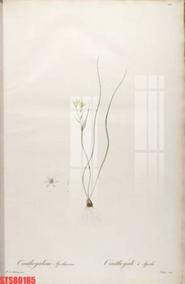 File gốc Tranh sơn dầu phương tây tổng hợp STS80185 (in ấn) màu sắc trung thực