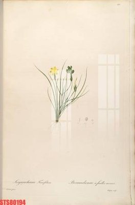 Tải file gốc Tranh sơn dầu phương tây tổng hợp STS80194 (in khổ lớn) không mờ