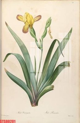 File gốc Tranh sơn dầu phương tây tổng hợp STS80201 (PSD/TIFF) độ phân giải cao