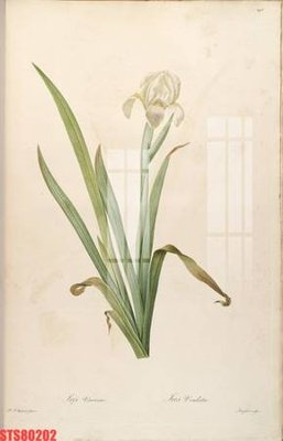 Hình ảnh file gốc Tranh sơn dầu phương tây tổng hợp STS80202 cho in UV