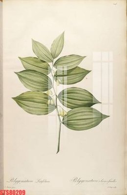 Download file gốc Tranh sơn dầu phương tây tổng hợp STS80209 (in lụa) tranh 3D