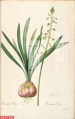 File in ấn Tranh sơn dầu phương tây tổng hợp STS80211 (bản gốc) sắc nét