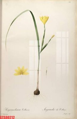 Tải file Tranh sơn dầu phương tây tổng hợp STS80212 (gốc) chủ đề tôn giáo