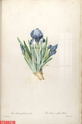 Tải file Tranh sơn dầu phương tây tổng hợp STS80216 (ảnh gốc) file AI/EPS