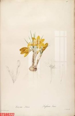 Tải file gốc Tranh sơn dầu phương tây tổng hợp STS80227 (in không vỡ ảnh)