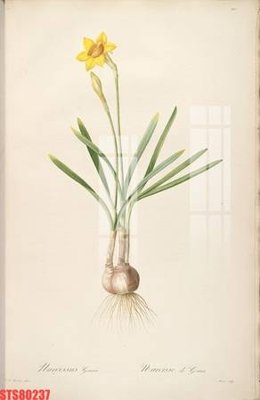 Download file tranh PSD Tranh sơn dầu phương tây tổng hợp STS80237 để chỉnh sửa