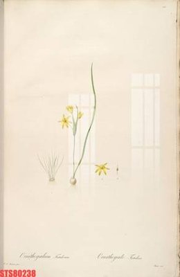 File gốc Tranh sơn dầu phương tây tổng hợp STS80238 (ảnh chi tiết) để in trần