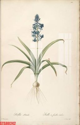 File gốc Tranh sơn dầu phương tây tổng hợp STS80242 (PNG) không nền chất lượng