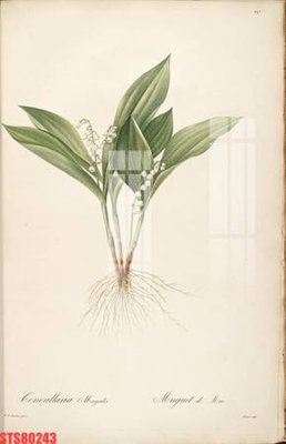 Tải file gốc Tranh sơn dầu phương tây tổng hợp STS80243 (bản PSD) chỉnh sửa được