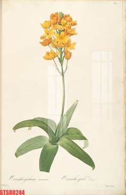 File gốc Tranh sơn dầu phương tây tổng hợp STS80244 (trang trí) phòng ngủ