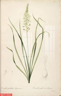 Tải file gốc Tranh sơn dầu phương tây tổng hợp STS80248 (in khổ lớn) không mờ