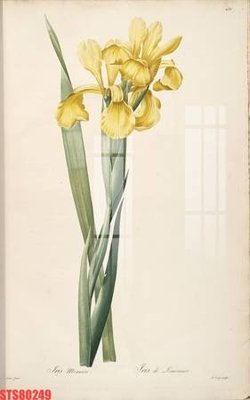 File tranh Tranh sơn dầu phương tây tổng hợp STS80249 (ảnh gốc) in trần xuyên sáng