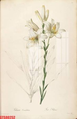 File in ấn chuyên nghiệp Tranh sơn dầu phương tây tổng hợp STS80252 (file gốc)