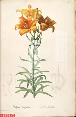 Download file Tranh sơn dầu phương tây tổng hợp STS80254 (chuẩn in) chất lượng cao