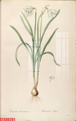 File gốc Tranh sơn dầu phương tây tổng hợp STS80261 (cho in UV) siêu nét