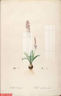 File in mica Tranh sơn dầu phương tây tổng hợp STS80262 (bản gốc) sắc sảo