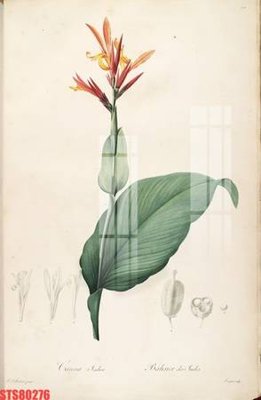 File in ấn cao cấp Tranh sơn dầu phương tây tổng hợp STS80276 (file gốc)